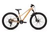 Specialized Riprock Comp 24 Gloss Photon Tint Over Flake Silver / Orange Zest 24
