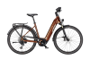 KTM MACINA TOUR CX 810 GX AXS TERRA (TERRA) US 46