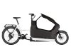 Riese & Müller Packster2 70 FAMILY White