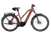 Riese & Müller Charger5 Mixte Vario Maroon