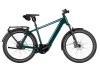Riese & Müller Charger5 Rohloff Pine
