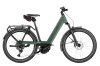 Riese & Müller Nevo5 Touring Moss