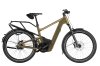 Riese & Müller Delite5 Rohloff Amber