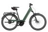 Riese & Müller Nevo5 Vario Moss